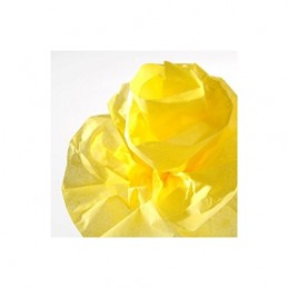 CANSON Papier de soie, 0,5...