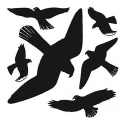 HERMA Oiseaux de vitres,...